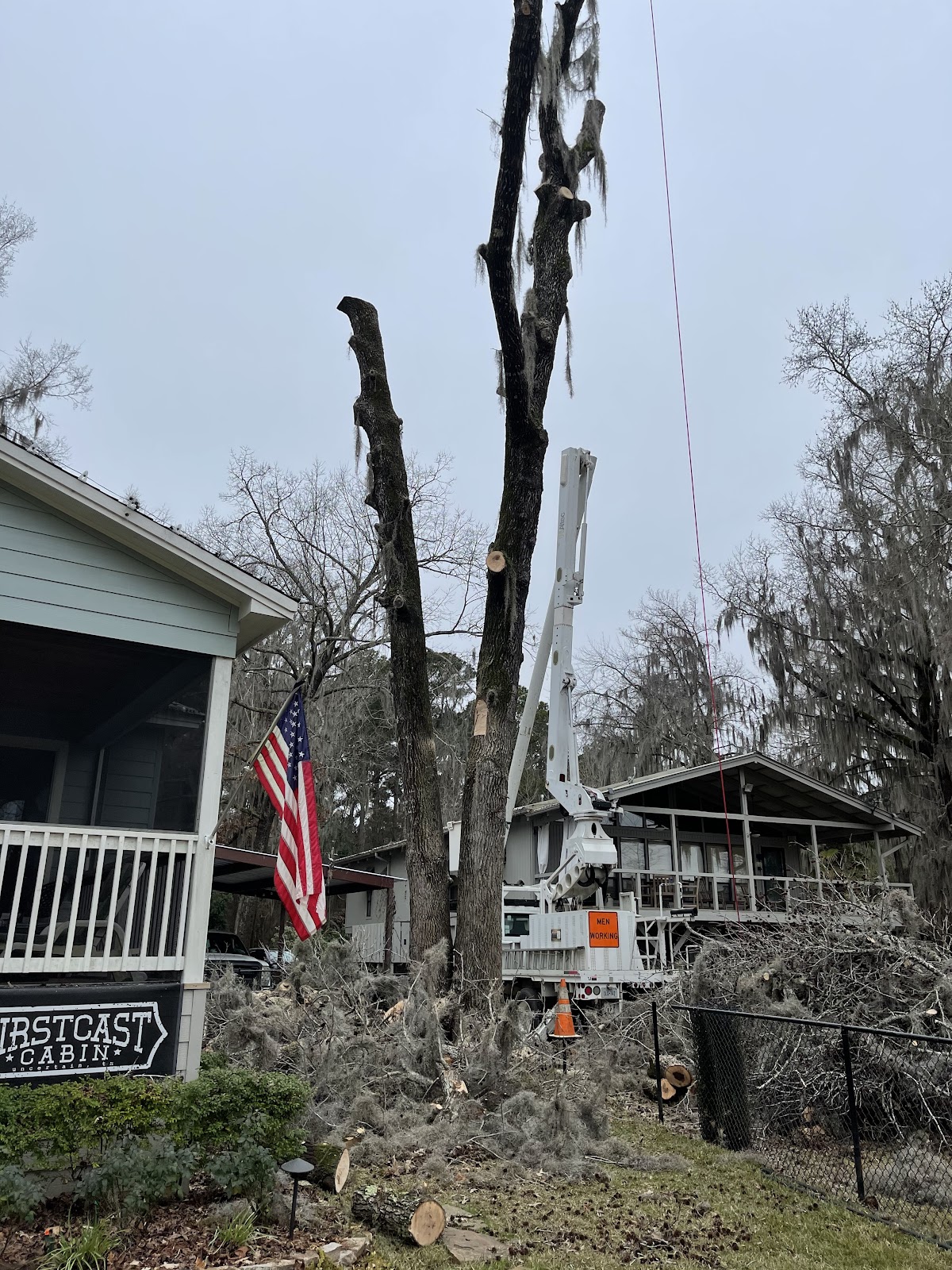 Tree removal in progress