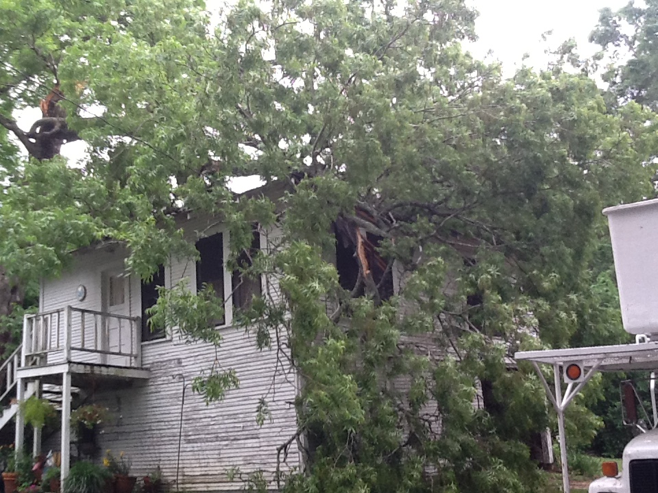 Storm damage tree fallen through roof