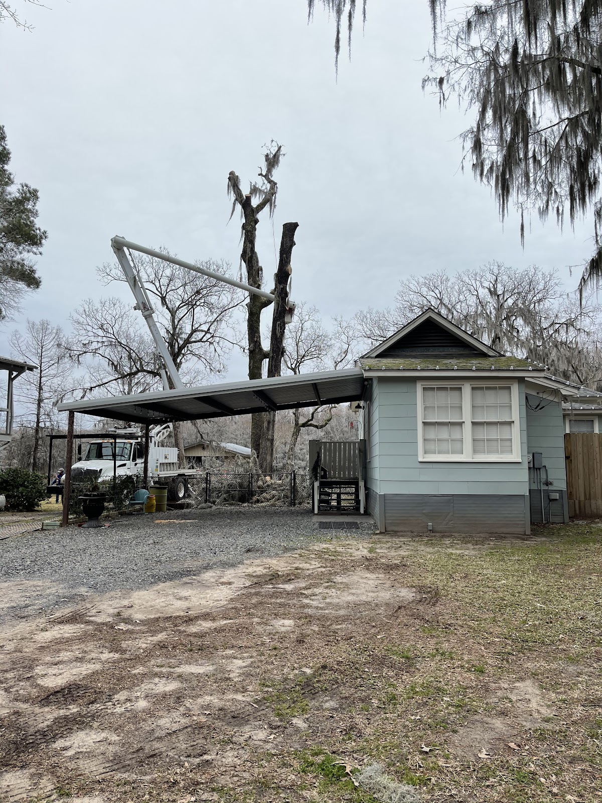 DeLong crew removing a tree near a residential home