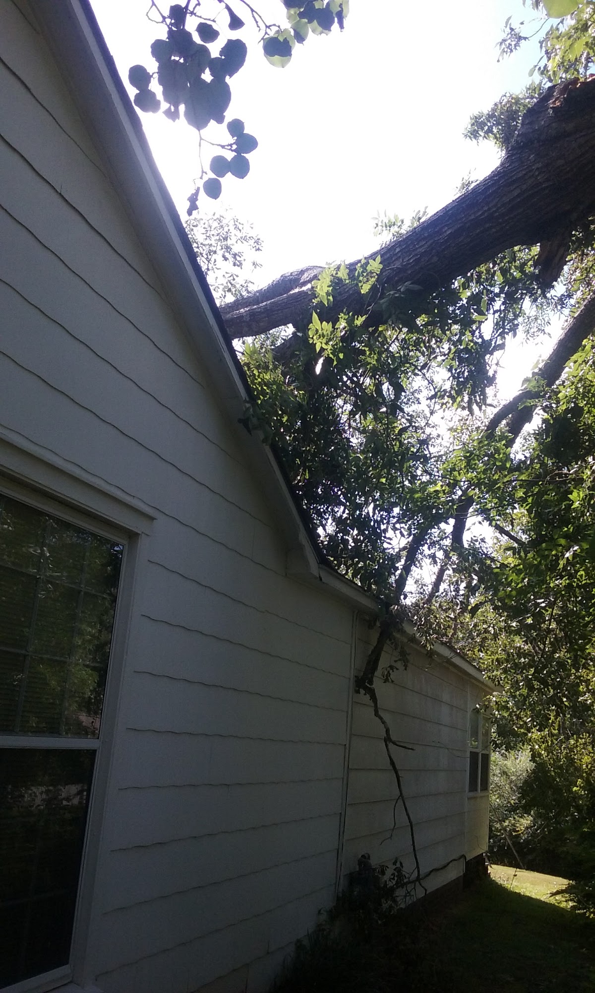 Storm damage — tree on home